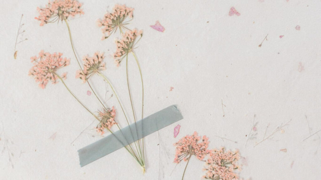 Photo of some pale pink dried flowers against a neutral background