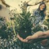 How mindful gardening can boost your wellbeing