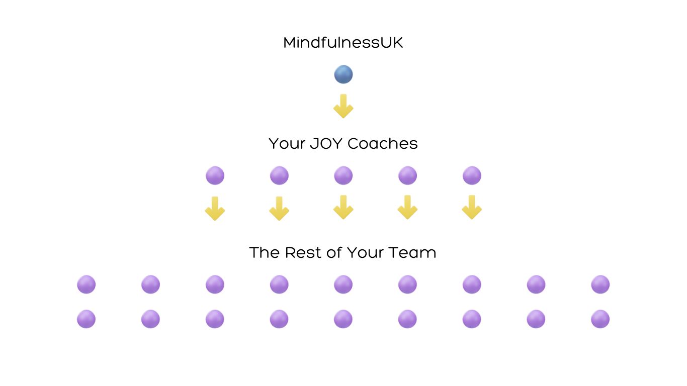 Training Pyramid