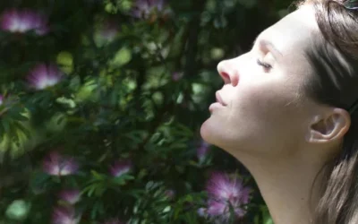 The Difference Between Meditation and Mindfulness Explained